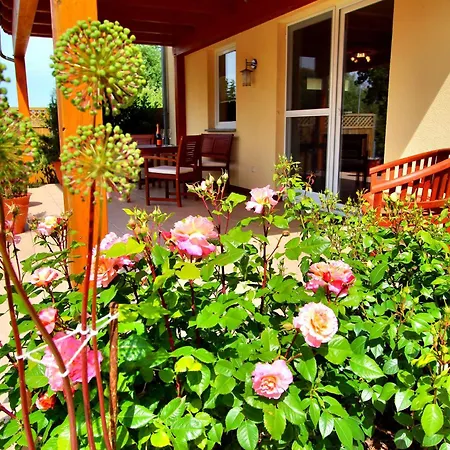 Appartement Haus Mueritzbrise _ Og_fewo Klink